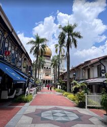 Arab Street (D7), Shop House #448460121